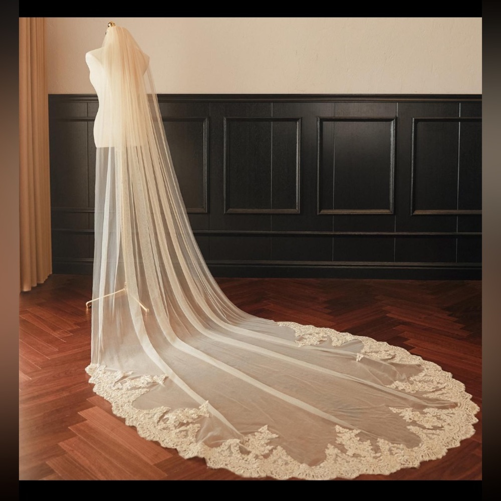 NIB Cathedral Length Champagne Veil